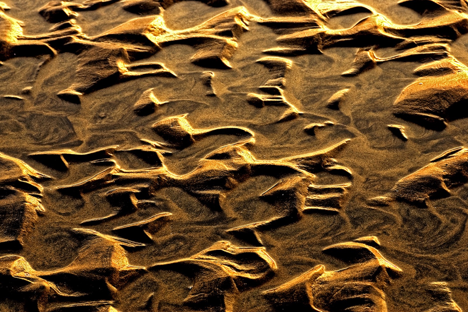 Vue aérienne rapprochée de sable humide à marée basse, sculpté en ondulations régulières