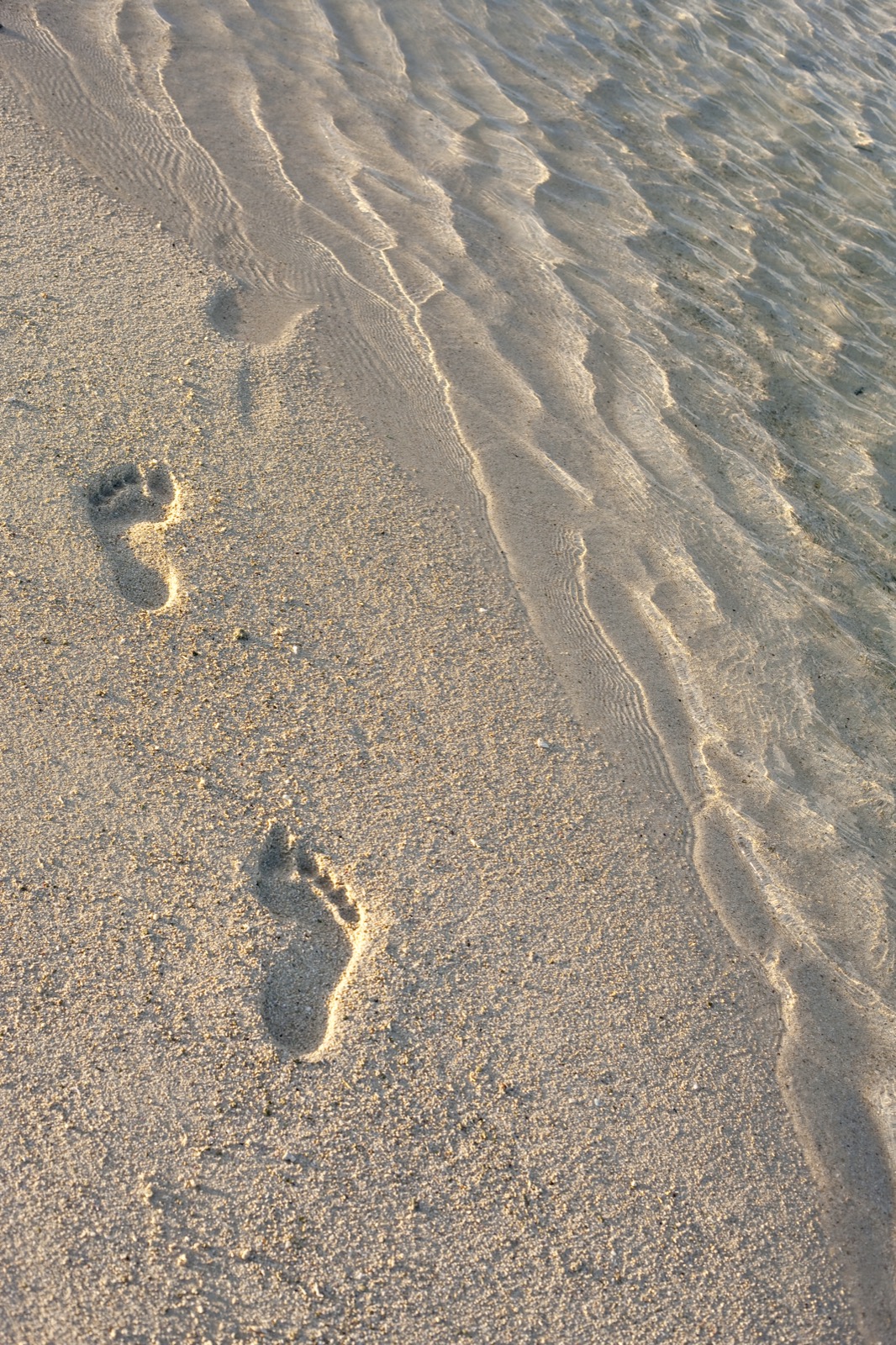 Empreintes de pas dans le sable humide au bord de l'eau cristalline, lumière dorée effleurant les ondulations laissées par la marée