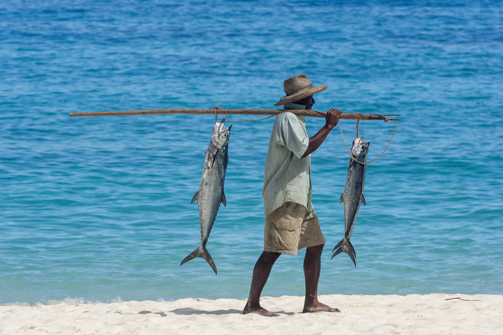 Pêcheur au chapeau de paille portant deux grands poissons suspendus à une perche, marchant sur une plage de sable blanc face à une mer turquoise